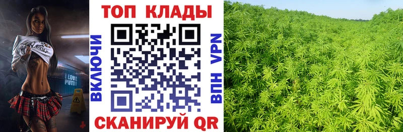 Где можно купить наркотики Горнозаводск MDMA  ОМГ ОМГ зеркало  COCAIN  АМФ  Вейп ТГК  МЕФ  ГАШ  Канабис  Alpha-PVP 