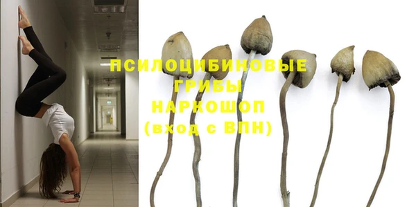 первитин Горняк