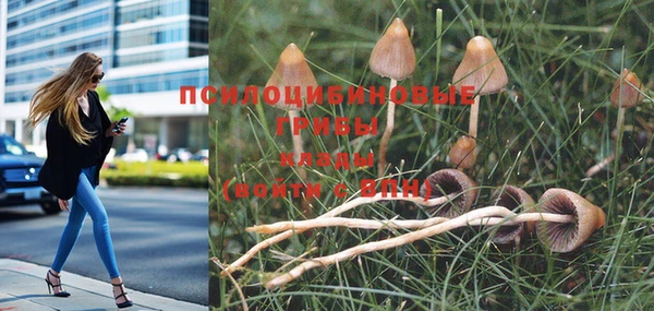 не бодяженный Горно-Алтайск