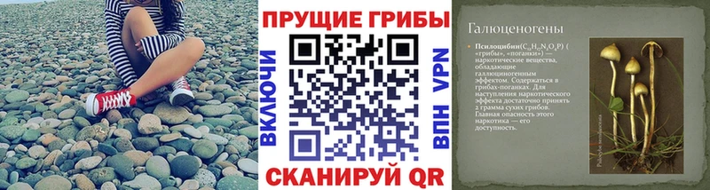 где можно купить наркотик  Горнозаводск  Псилоцибиновые грибы Cubensis 